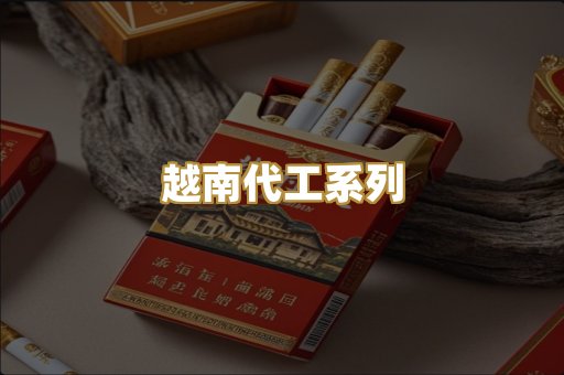 越南代工系列